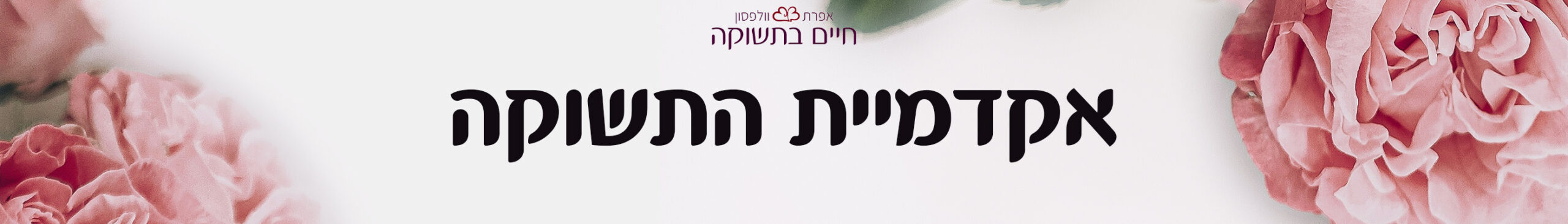 אקדמיית התשוקה