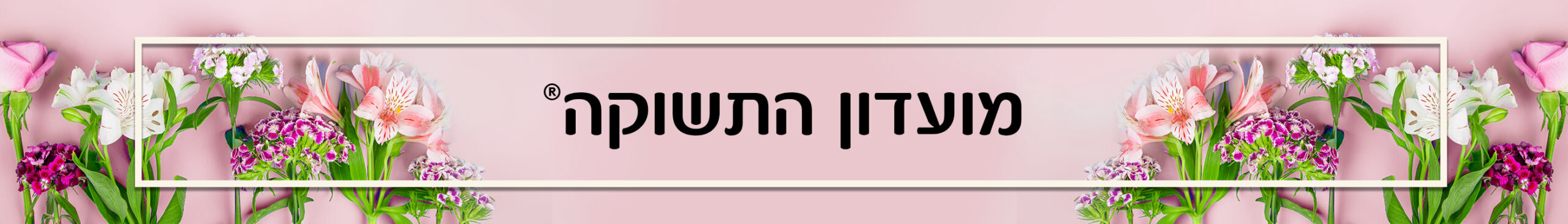 מועדון התשוקה