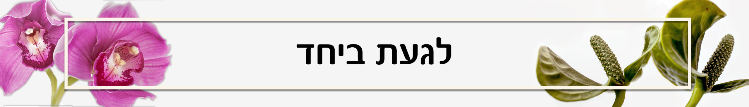 סדנאות לגעת יחד